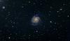 M101_EOS 350D_1h.jpg